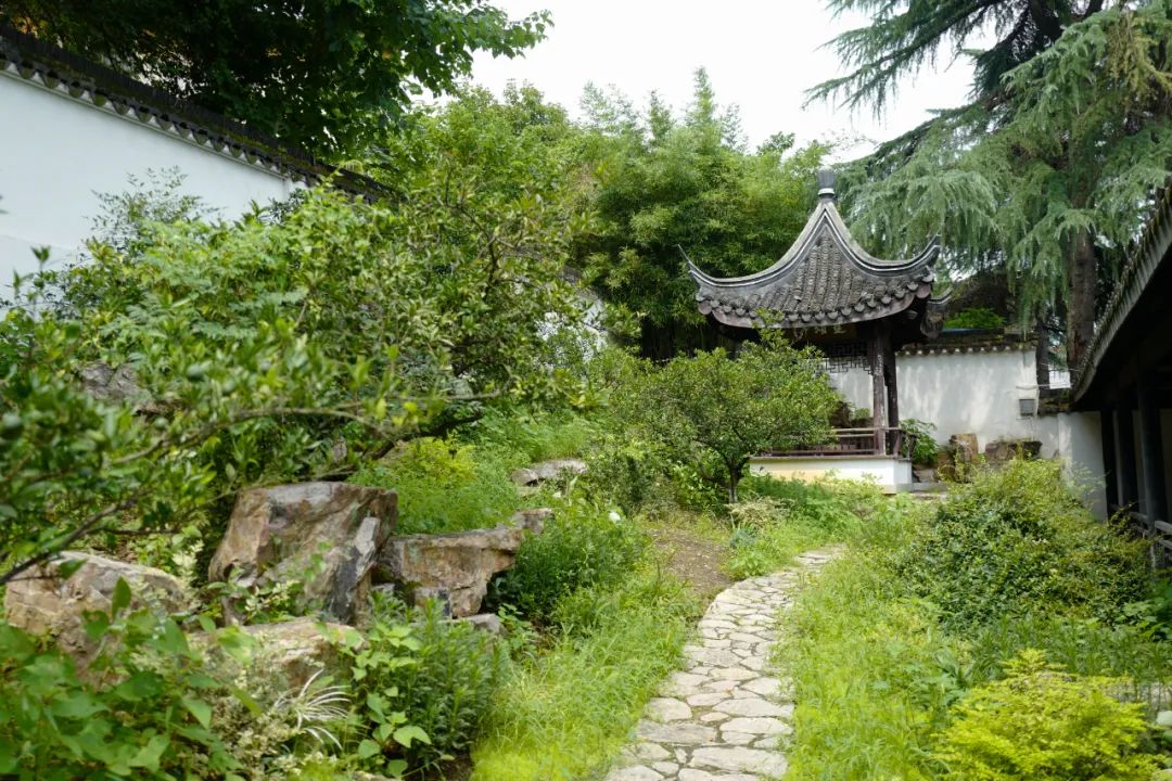 我去竹林避暑了，夏天过完再通知我！