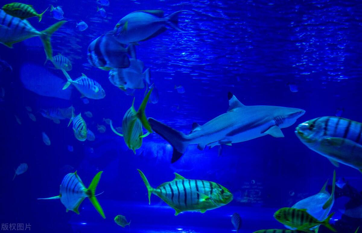 天津滨海新区旅游景点大全排名榜,天津滨海著名景点