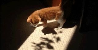 春运的天气是怎样,2018春运首日天气情况