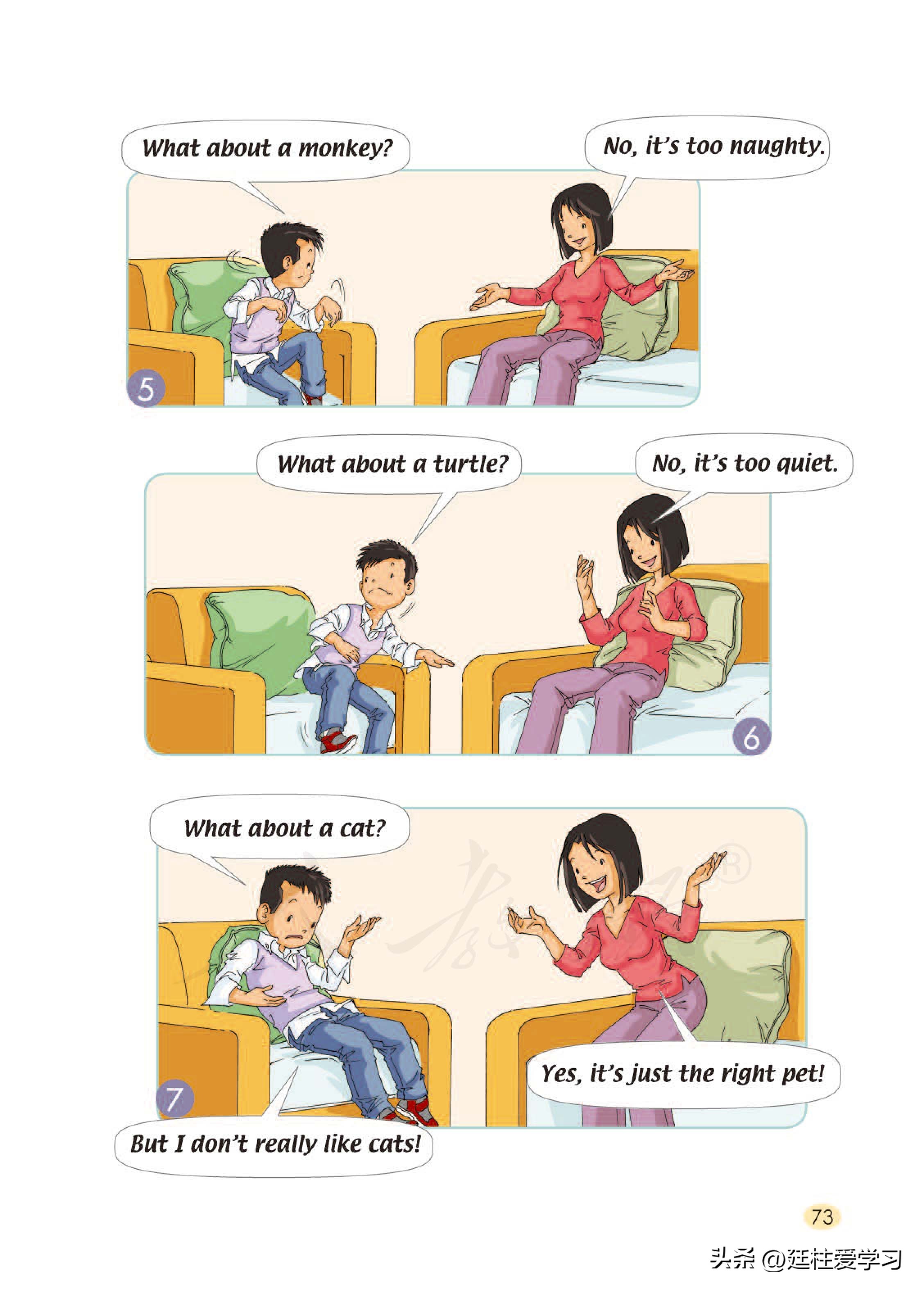 小学英语外研版三年级上册,小学英语精通版三年级上册