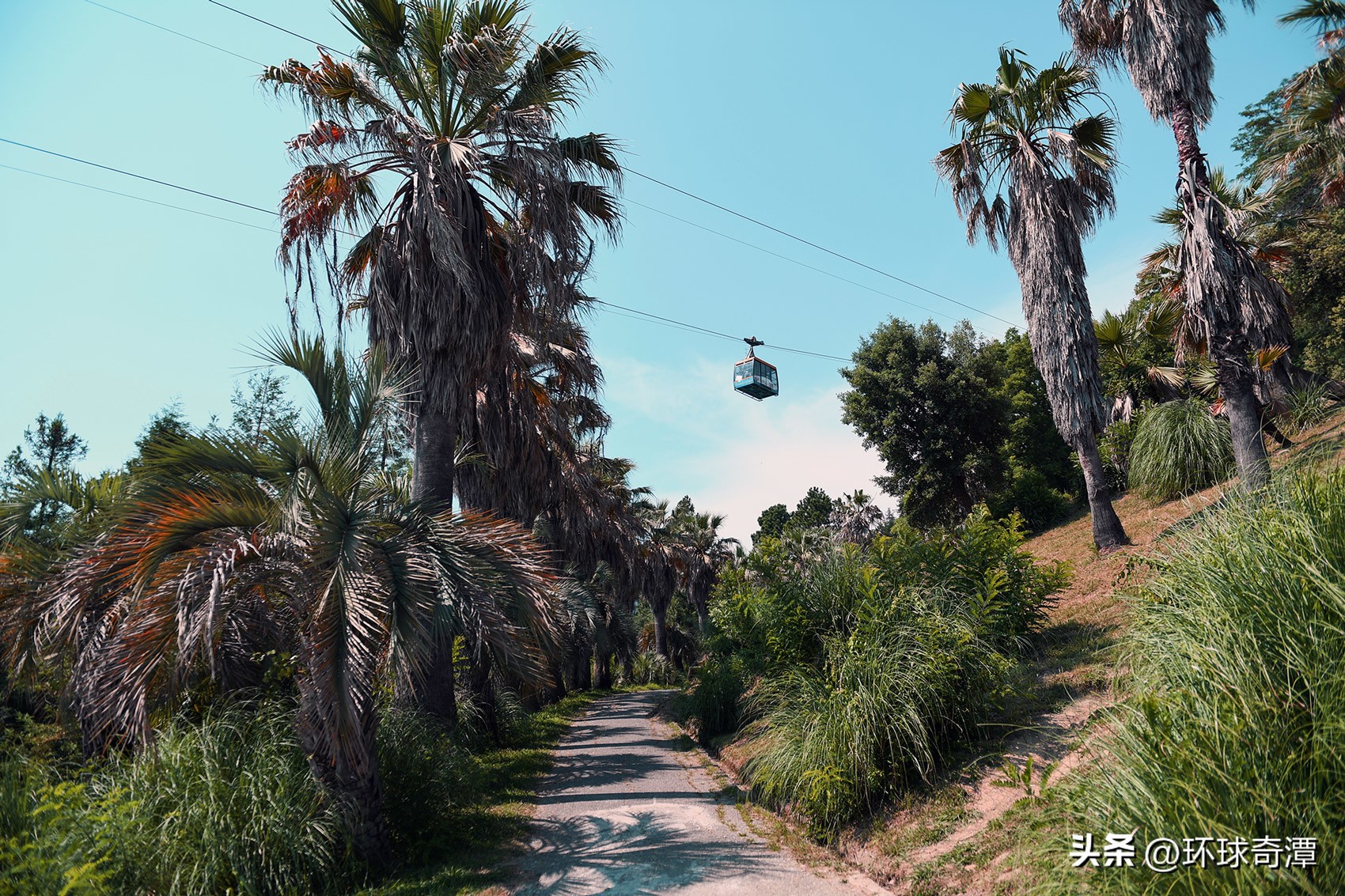 从符拉迪沃斯托克到莫斯科,克里米亚到俄罗斯公路