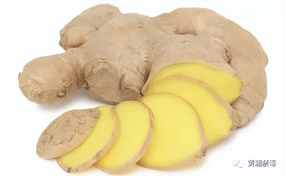 生姜的日常保健作用及保健方法,健康小贴士每天吃姜的9个好处