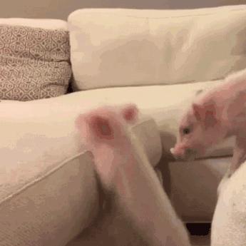 金融圈年终总结表情包,2023金融圈年终总结表情包版