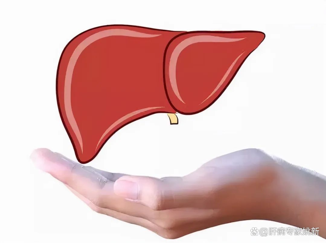 肝硬化病人护理措施,肝硬化日常护理怎么做