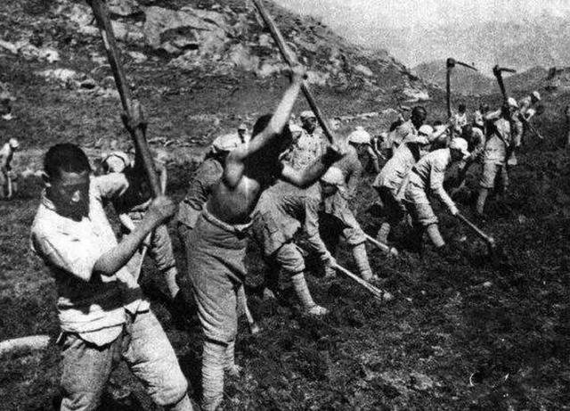 1955年*震王**重病，彭德怀犹豫两天却迟迟不敢批示手术：我没有把握