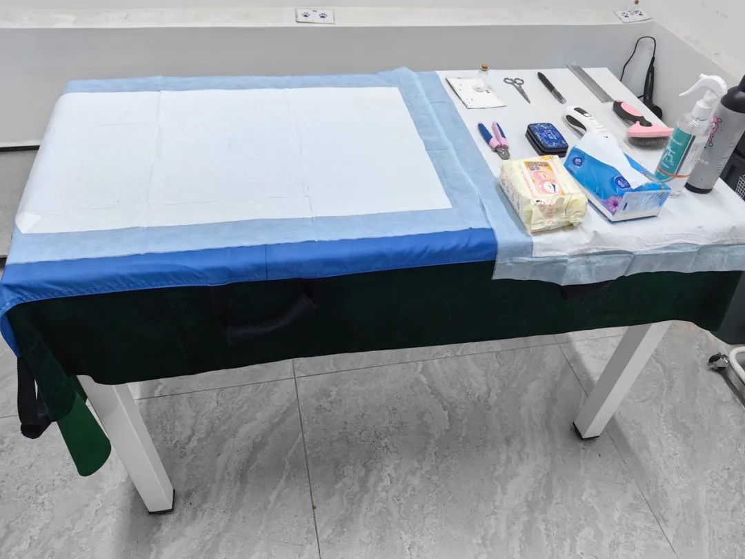 宠物殡葬行业中的那些事,宠物殡葬真的靠谱吗