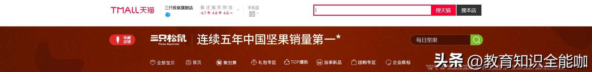 网店运营设计方案,网店运营网店设计