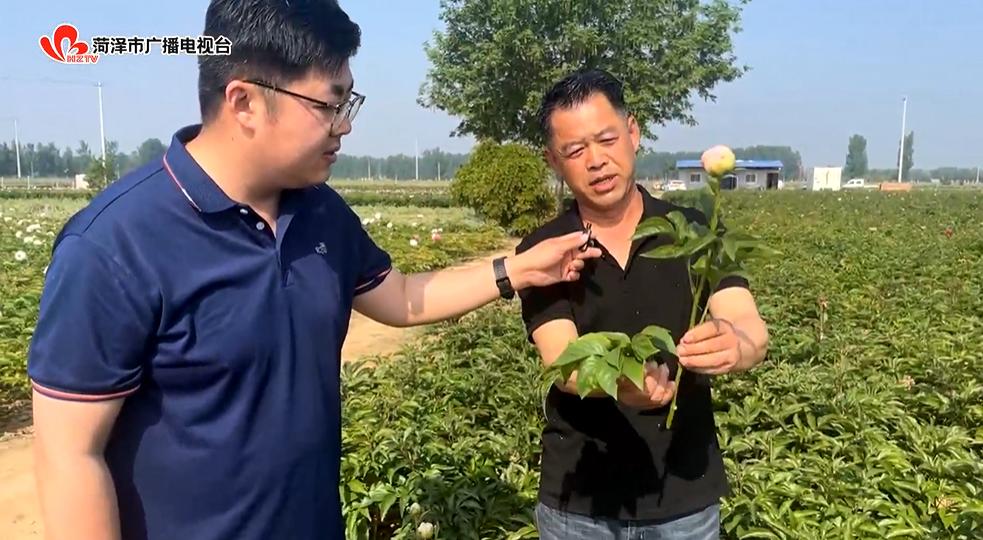 鲜花去哪了？带您在花尽处，又见“花开”