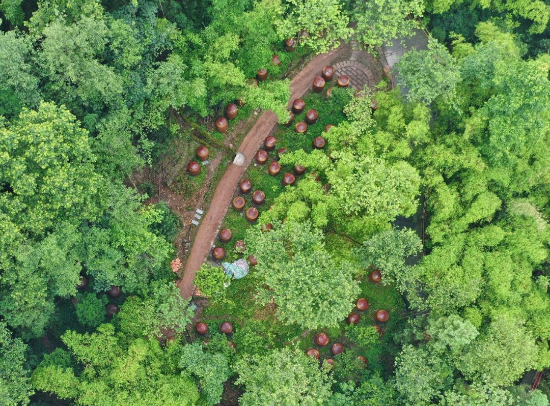 邛崃酒的历史文化,邛崃中国酒源