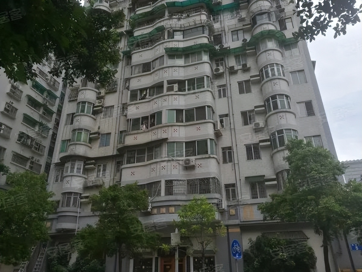 粤剧、醒狮、武术、科技……TA有39个宝藏社团？