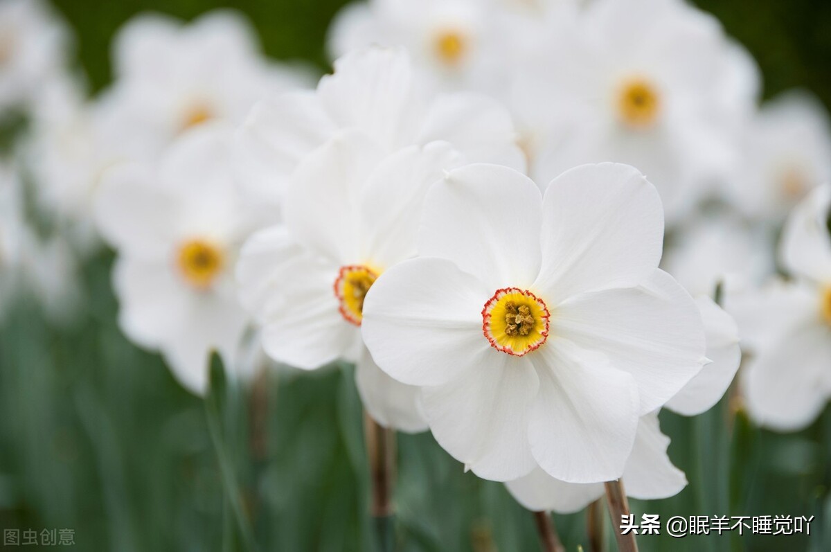 过度在意别人对自己的在乎,别总在意别人的感受而委屈了自己