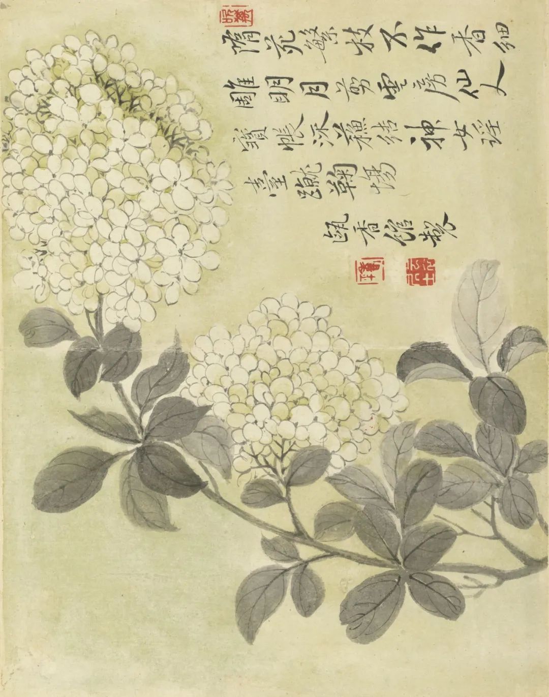 慕容看世界的视频,慕容看世界所有视频