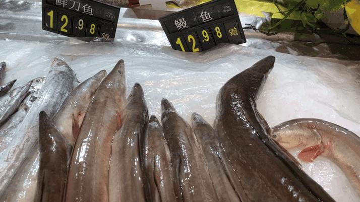 鲫钩儿，一种全身是刺的鳗鱼，会做便是美味，不会做，吐刺吐到哭