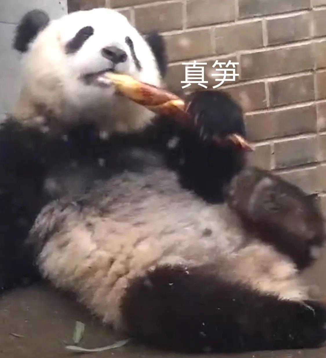 表情包我也得想办法整一个,表情包我能有什么坏心思呢