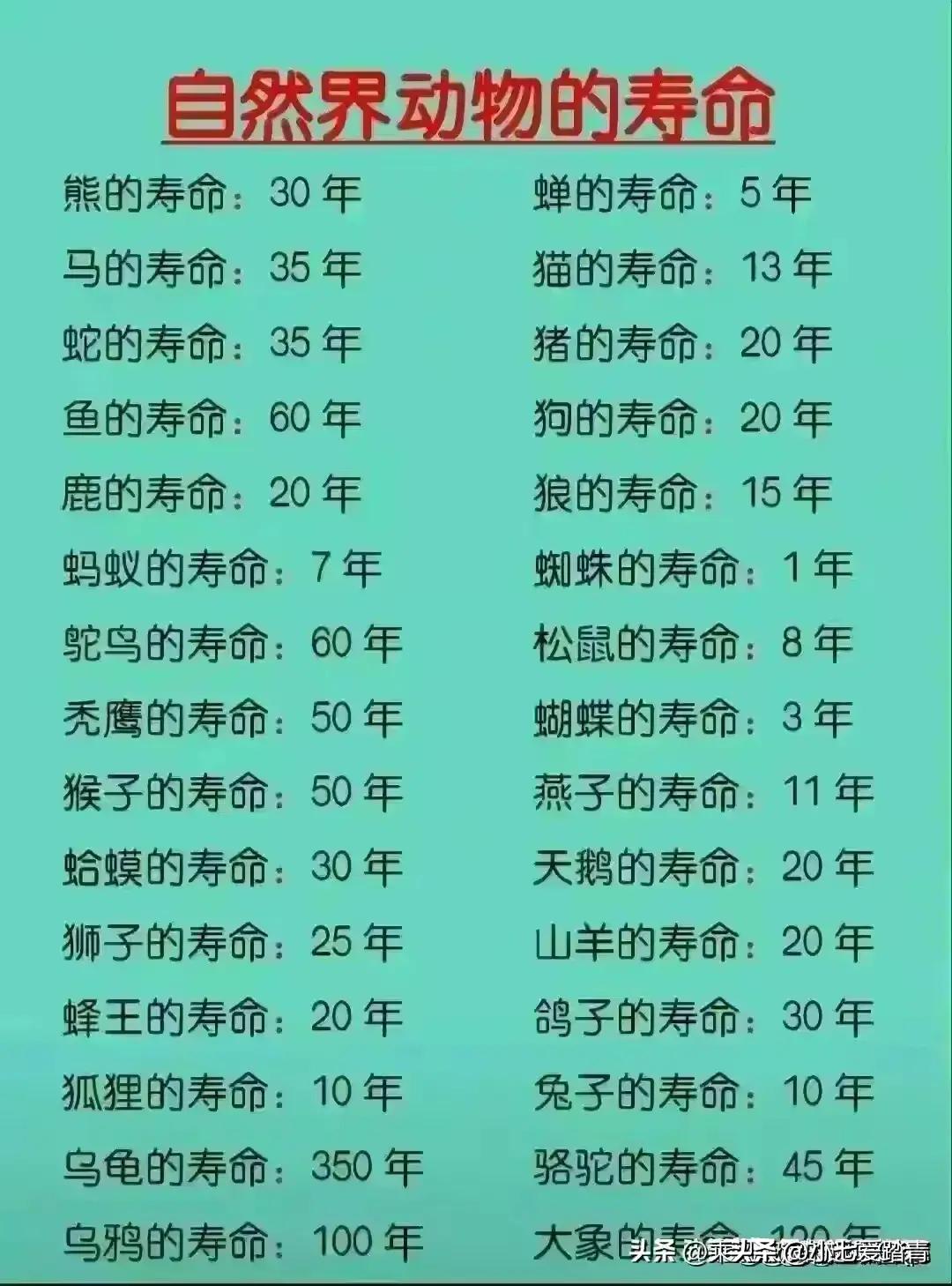 崂特啤酒好喝还是青岛啤酒好喝,中国啤酒排名前十品牌2021