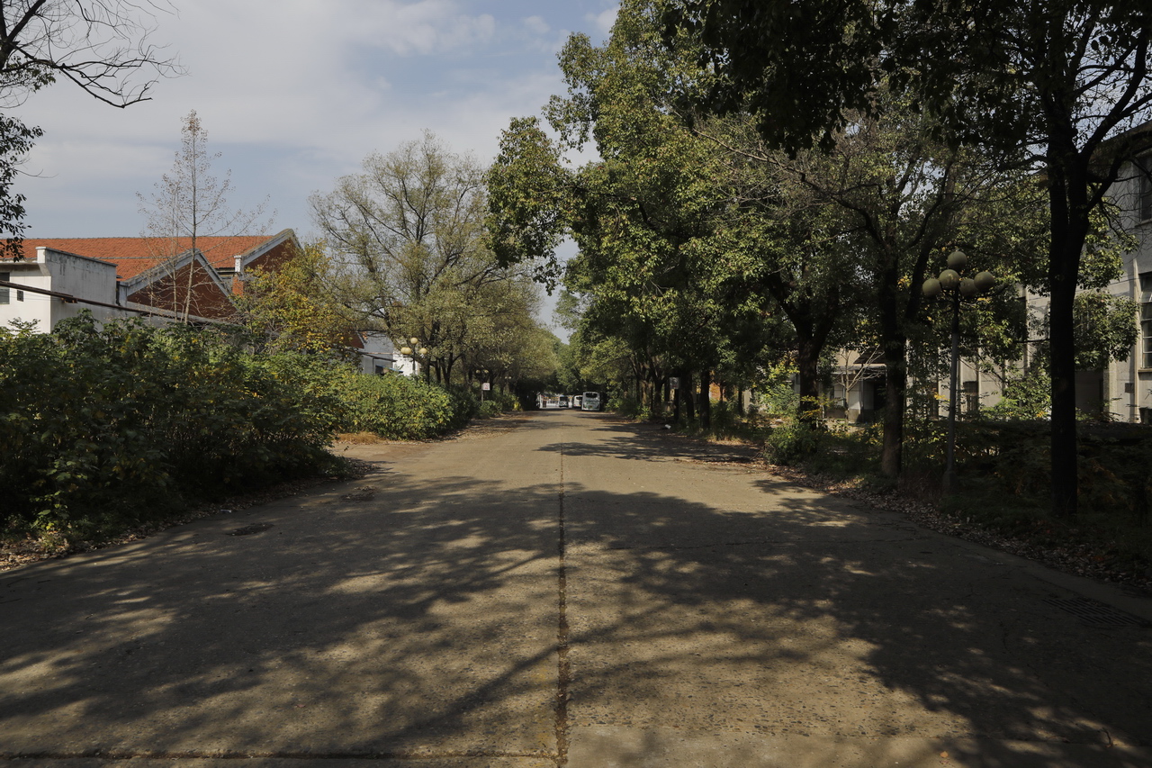 襄阳三线厂名单,襄阳汽车轴承股份有限公司网站