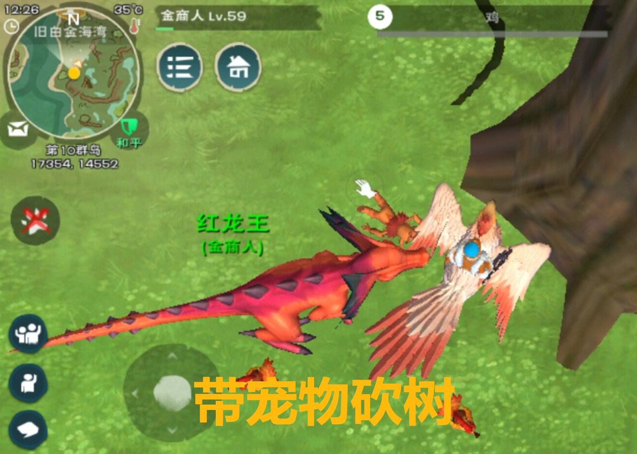 创造与魔法宠物刷经验最快方法,创造与魔法挖什么矿经验多