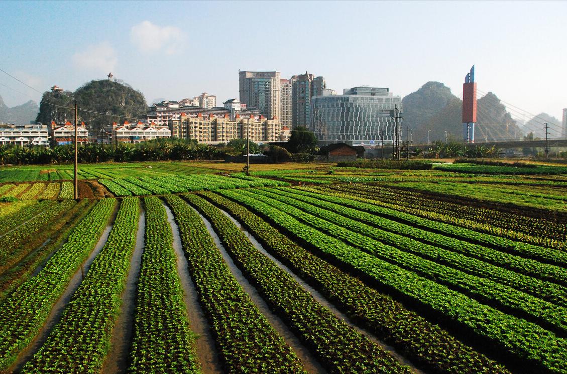 养殖场遭遇违法强拆怎么赔偿,养殖场占用基本农田被强拆怎么办