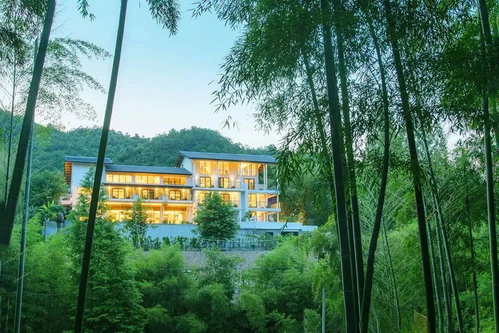 莫干山竹林深处的最美民宿,莫干山森林小屋民宿