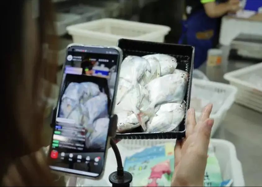 80后小夫妻直播4小时卖出300单,90后小伙创业卖海鲜背后的辛酸