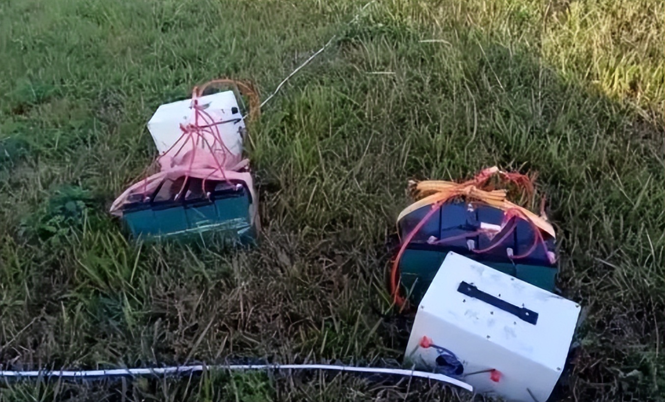 电蚯蚓危害真实案例,电蚯蚓出事故