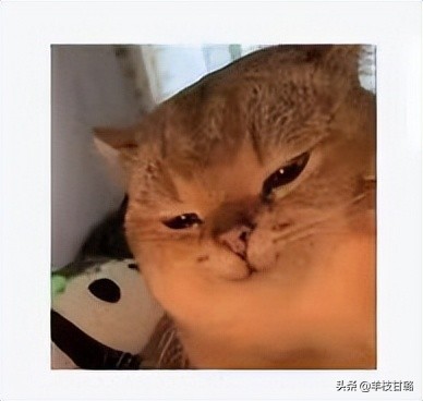 张庭夫妇被查，揭开微商传销*局骗**