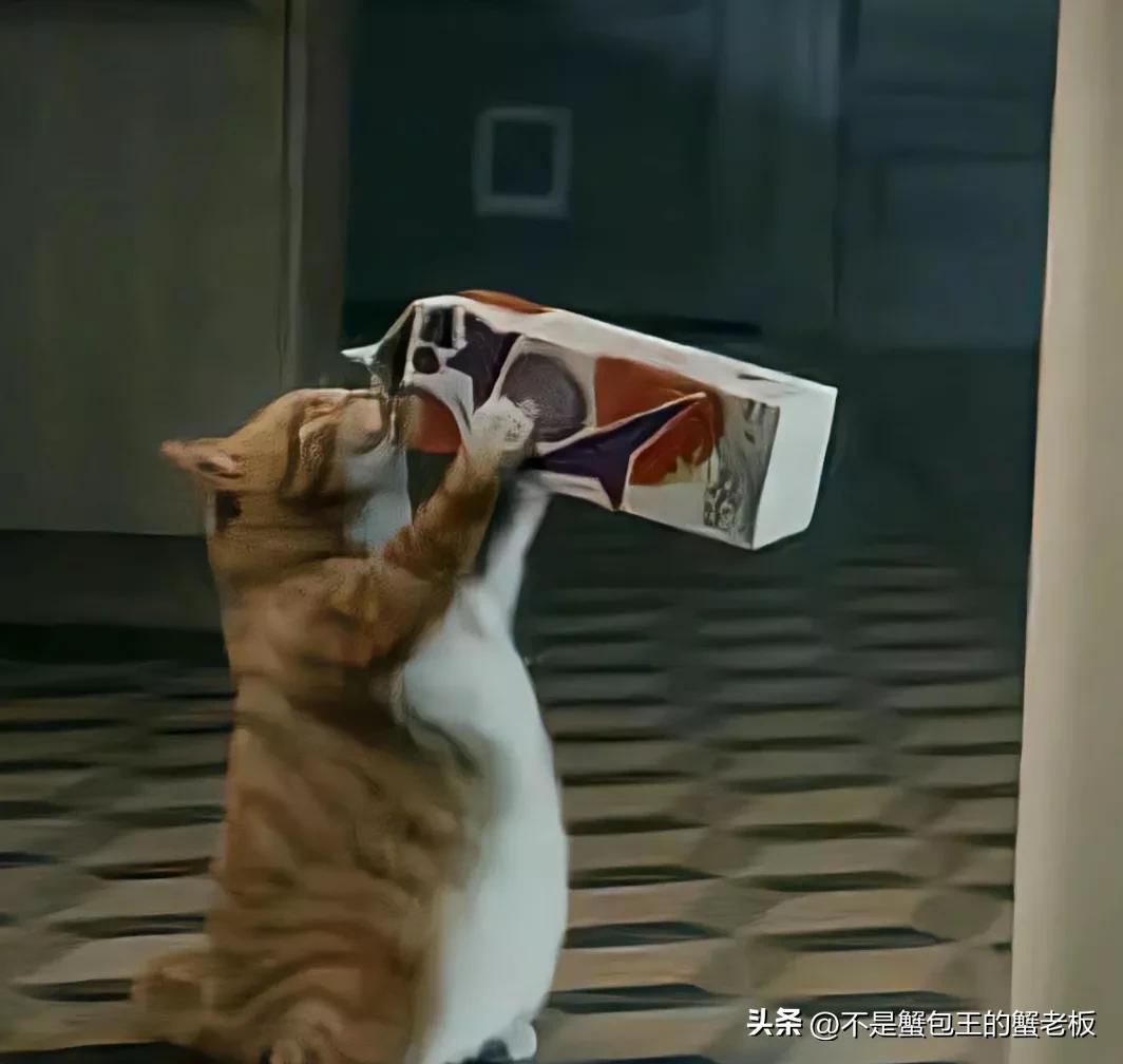 学车没有离合只有悲欢,走进驾校没有悲欢只有离合刹车