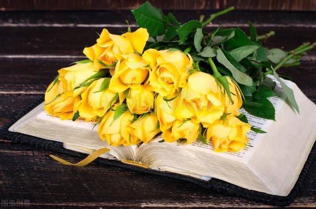 一朵白色玫瑰花的花语是什么,粉色玫瑰花和粉色绣球花花语