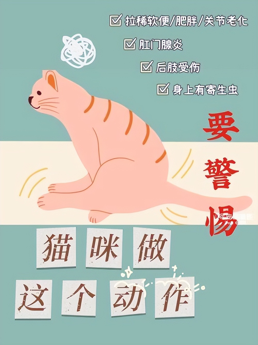 猫拉屎粘底怎么办,猫拉屎粘在尾巴上怎么清理
