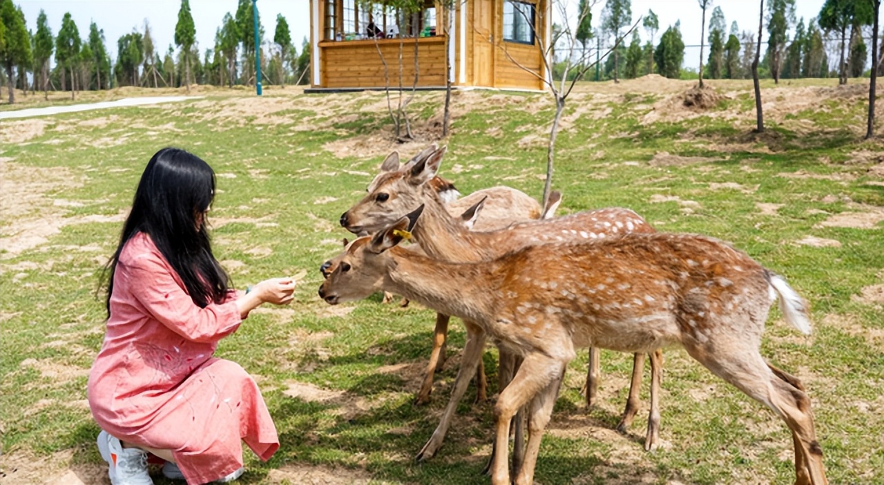 清明假期免费景点郑州周边,清明小长假适合去哪里玩郑州附近