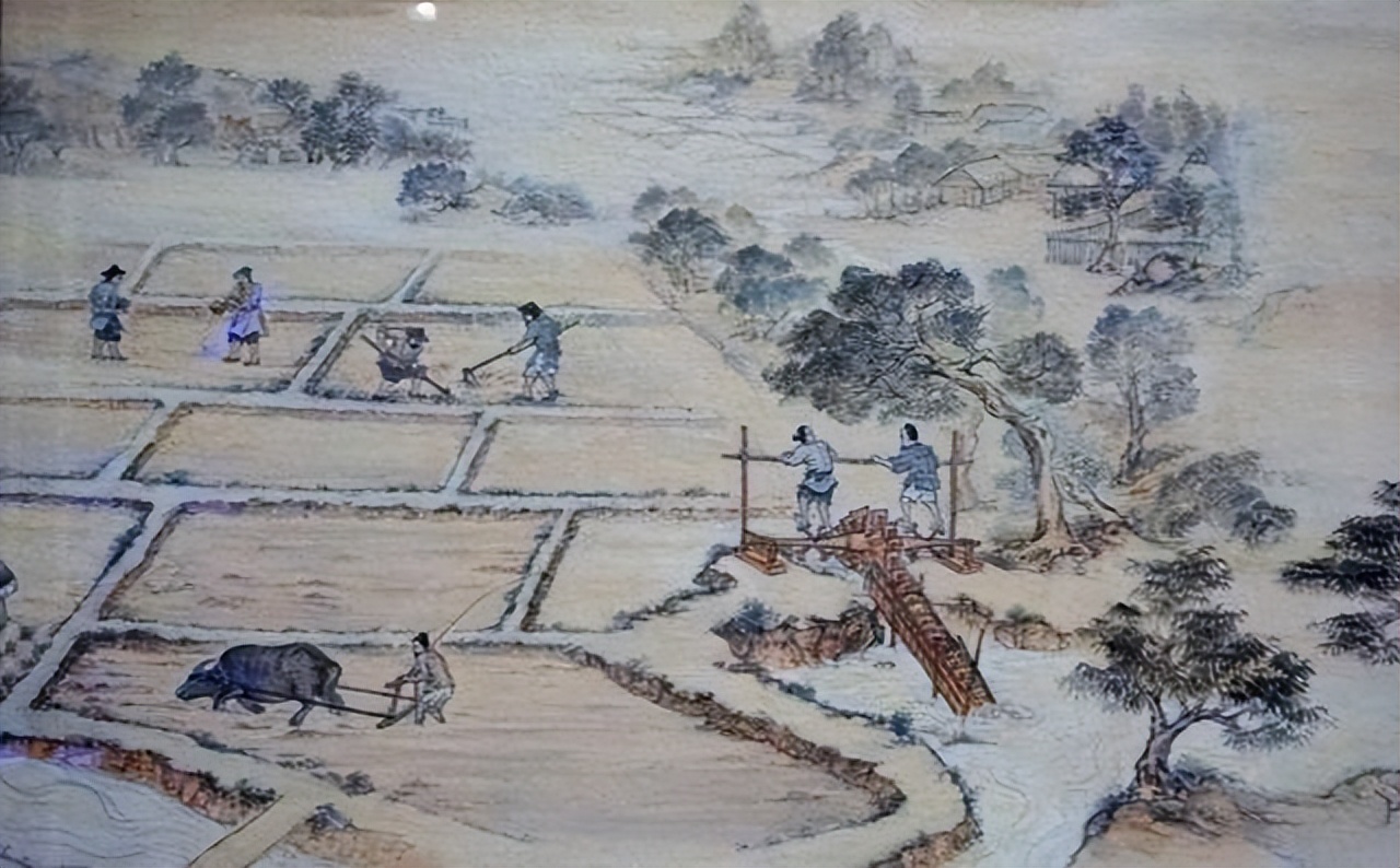 头钗朱玉拥玫瑰，身有红衣绣凤凰：看唐代女性婚服发展及现世影响