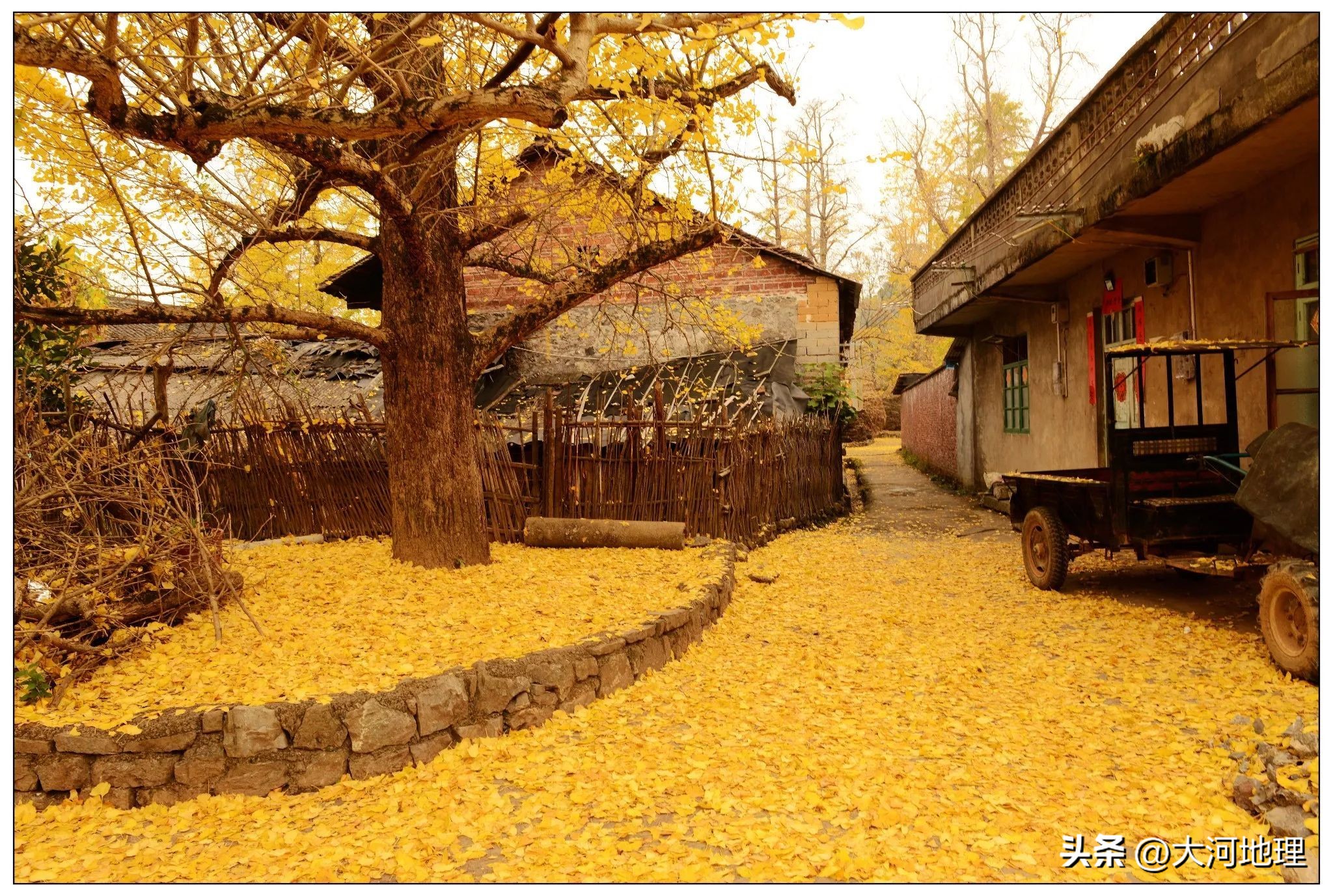 中国南方这30个景点,难说多知名,但敢说它的秋色最艳最浪漫