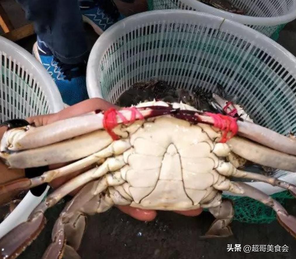 螃蟹怎么买才肉多,螃蟹怎么挑选才不被坑