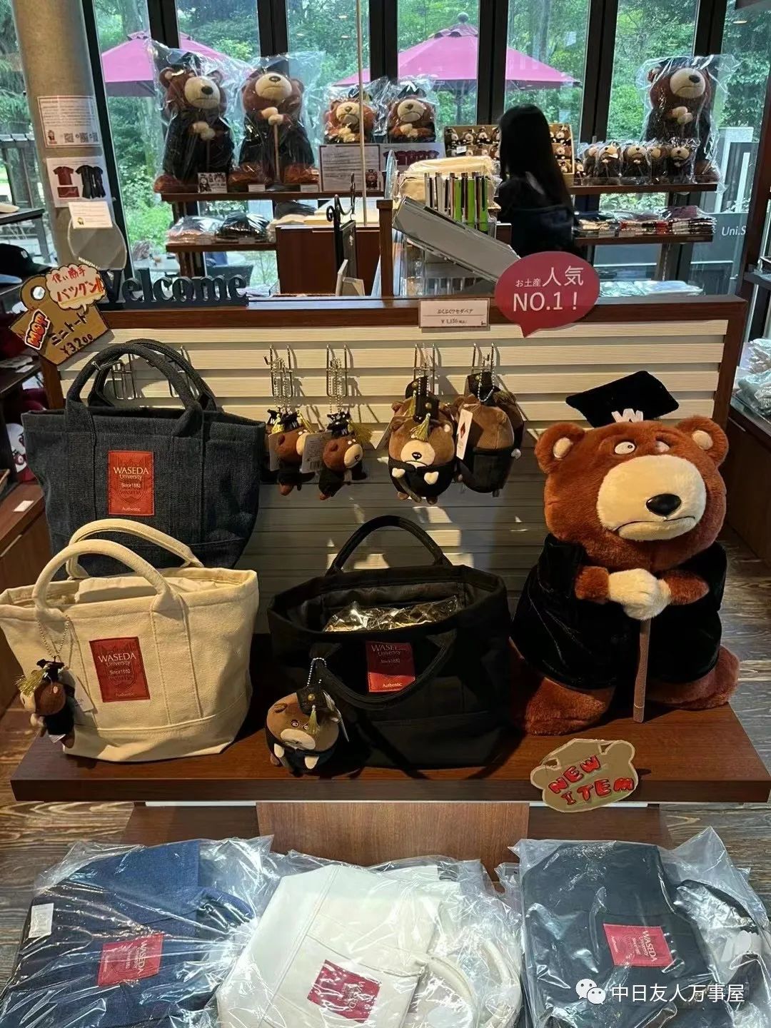 万事屋沙桑阔别三年之久的日本之旅