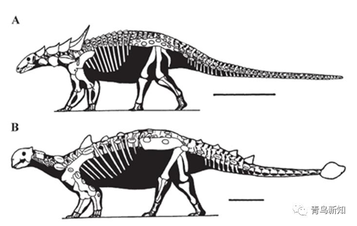 恐龙主题的铠甲可穿戴,恐龙战士怎么变身