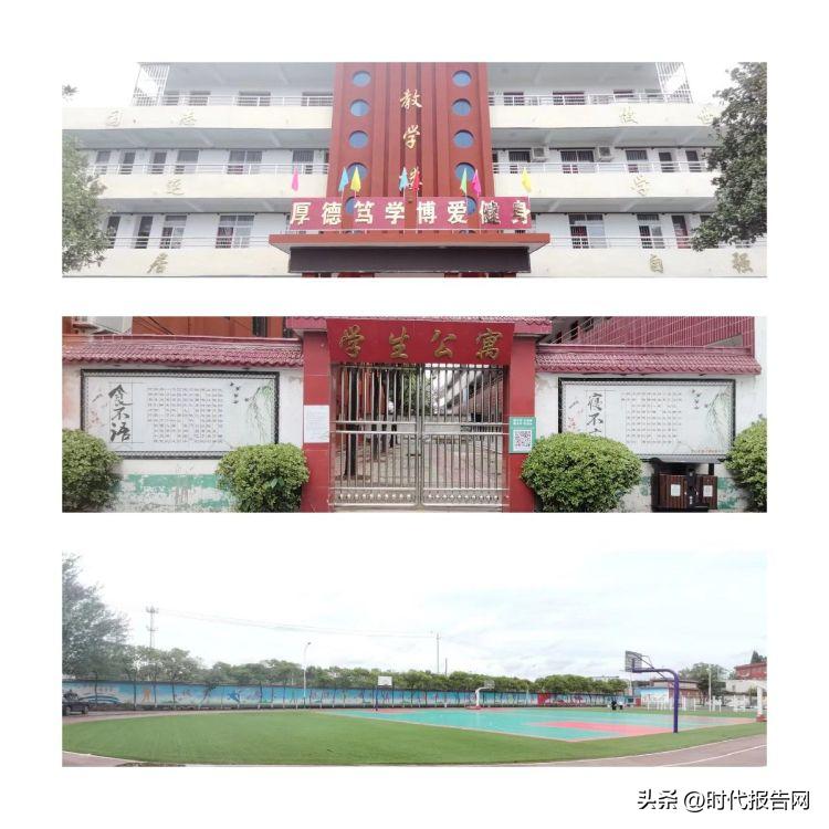 文化引领学校发展,文化引领高质量发展