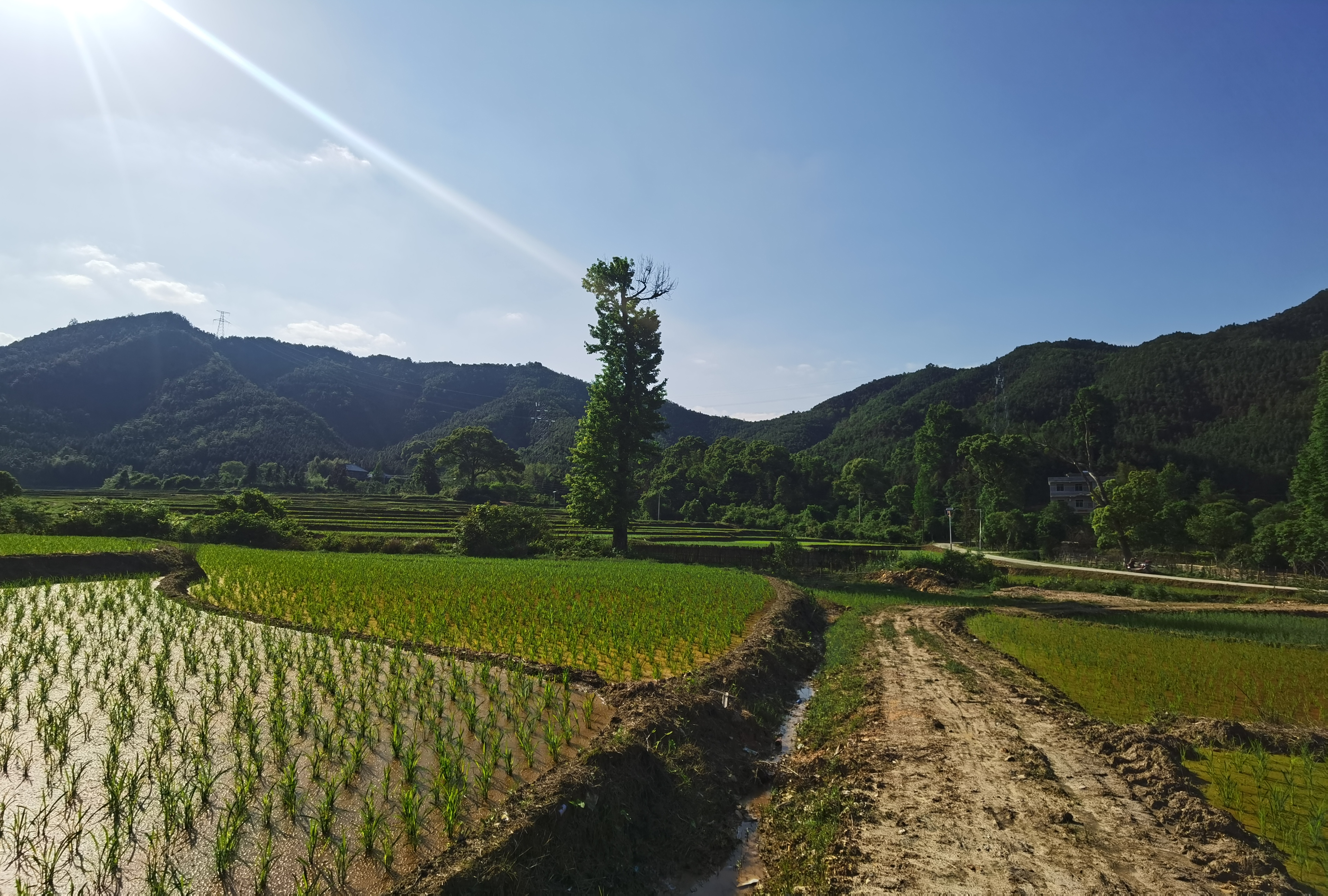 在乡下干活累死了,种地一亩地能赚500块钱吗