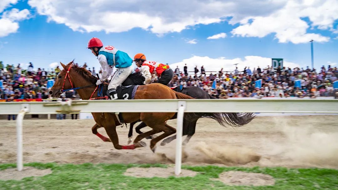 三月街故事,记忆中的三月街