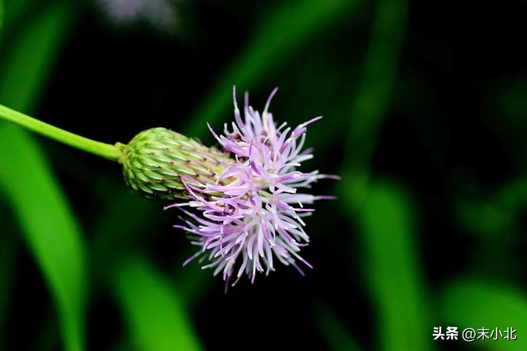 有以下两个特点的男人，不仅不靠谱，也很难给女人幸福