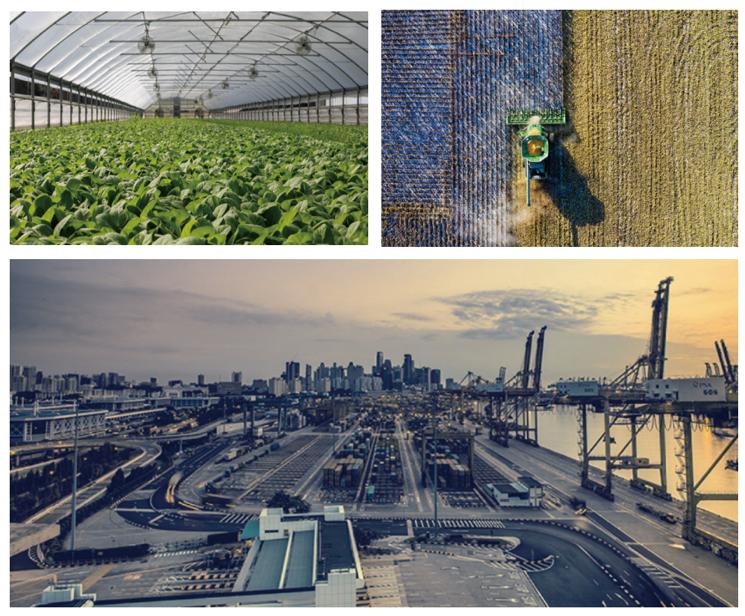 菜字头食品有限公司,菜字头食品