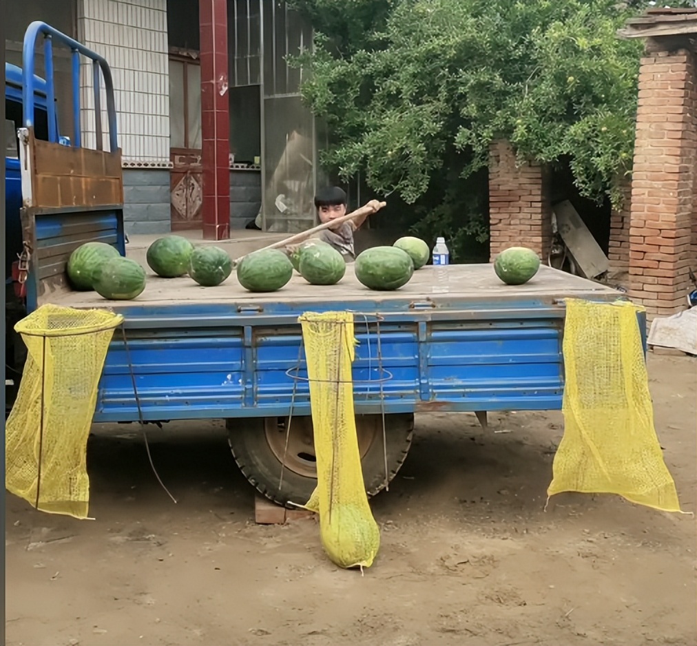 山东小伙靠“三脚猫功夫”走红，获赞乡村洪金宝，网友为啥半服？