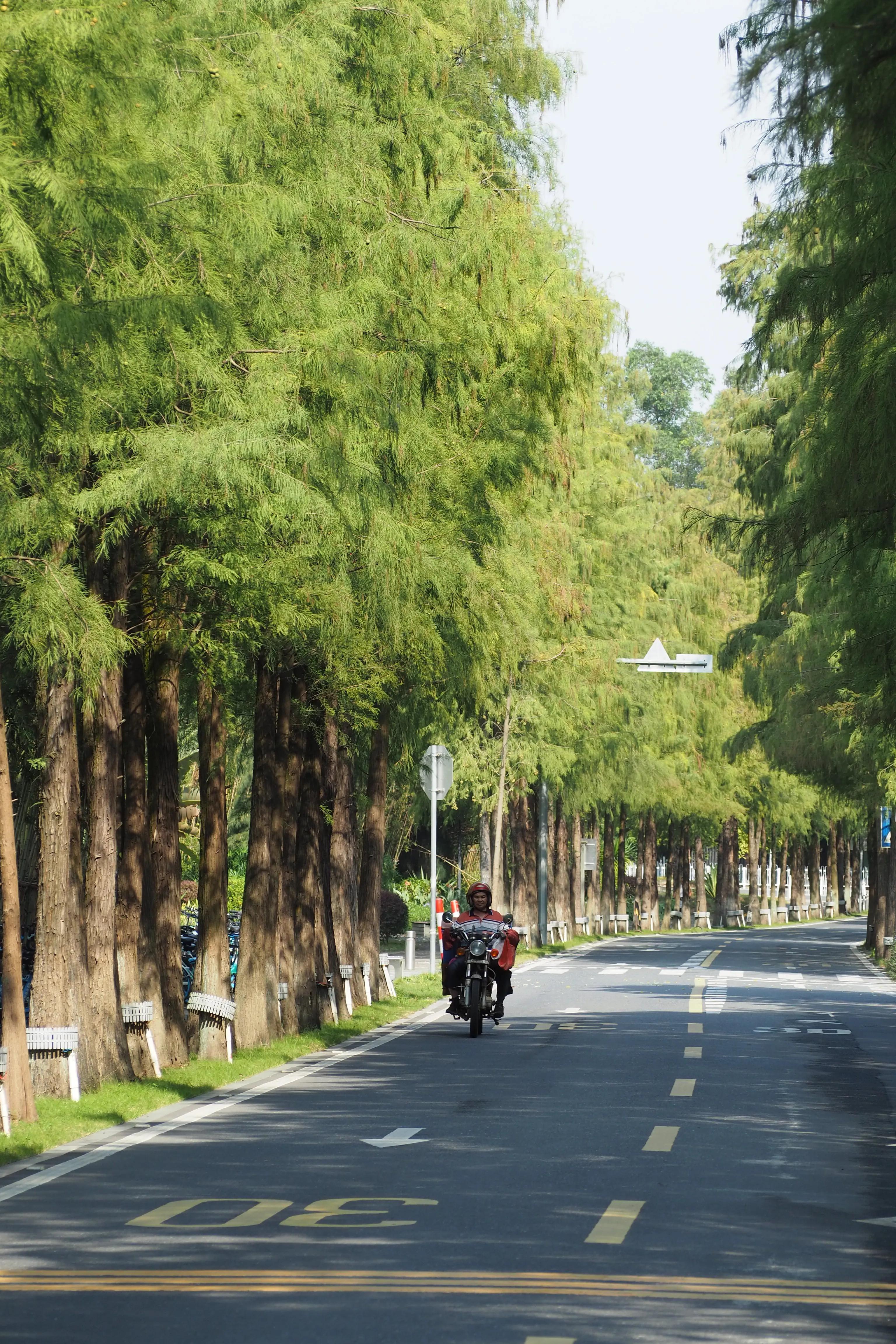 南沙既能玩又能吃的农庄,南沙好的农庄