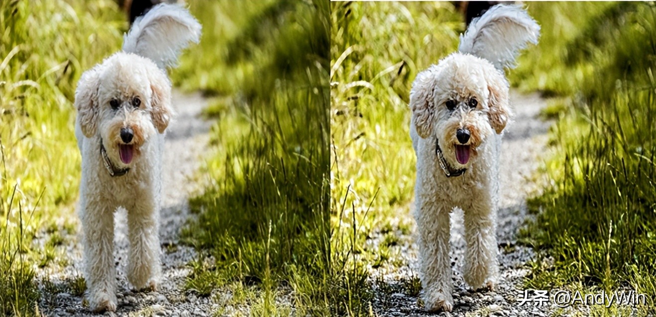 实用网站推荐来一波,7个超好用的良心网站推荐