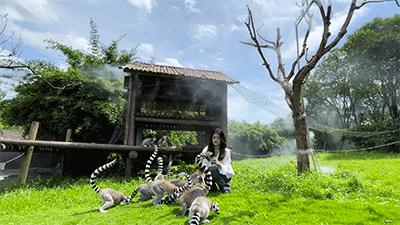 预订景区门票优惠活动,限时福利门票加一元畅游一整年