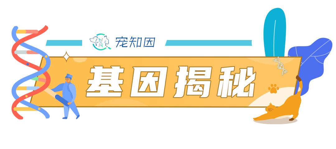 基因克隆最新突破,基因最新突破
