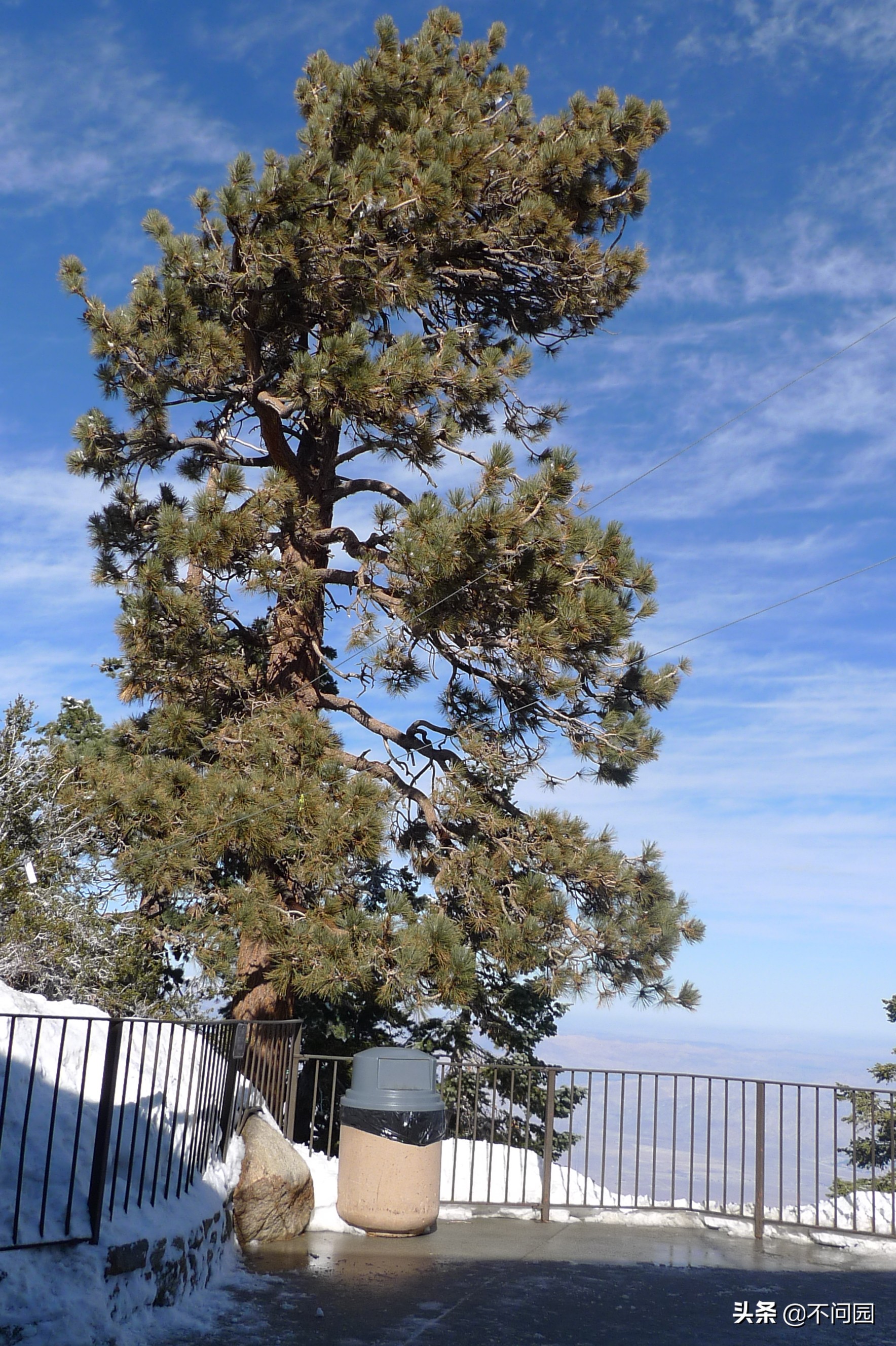 棕榈泉缆车,美国加州棕榈泉缆车