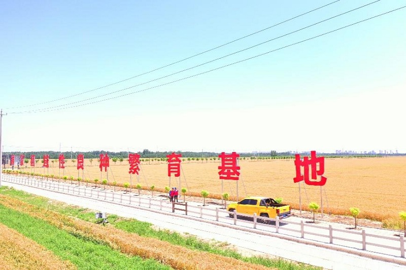 强党性办实事促发展主题活动,讲党性正作风优服务促发展