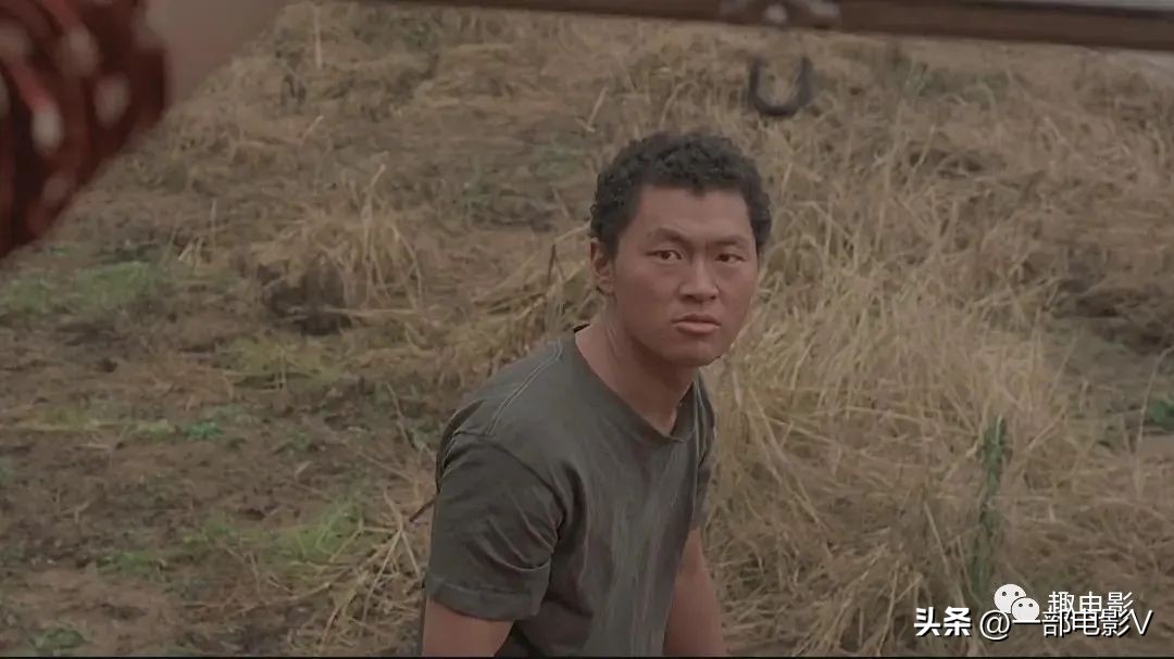 韩国最令人发指的真实事件,韩国在越战的暴行