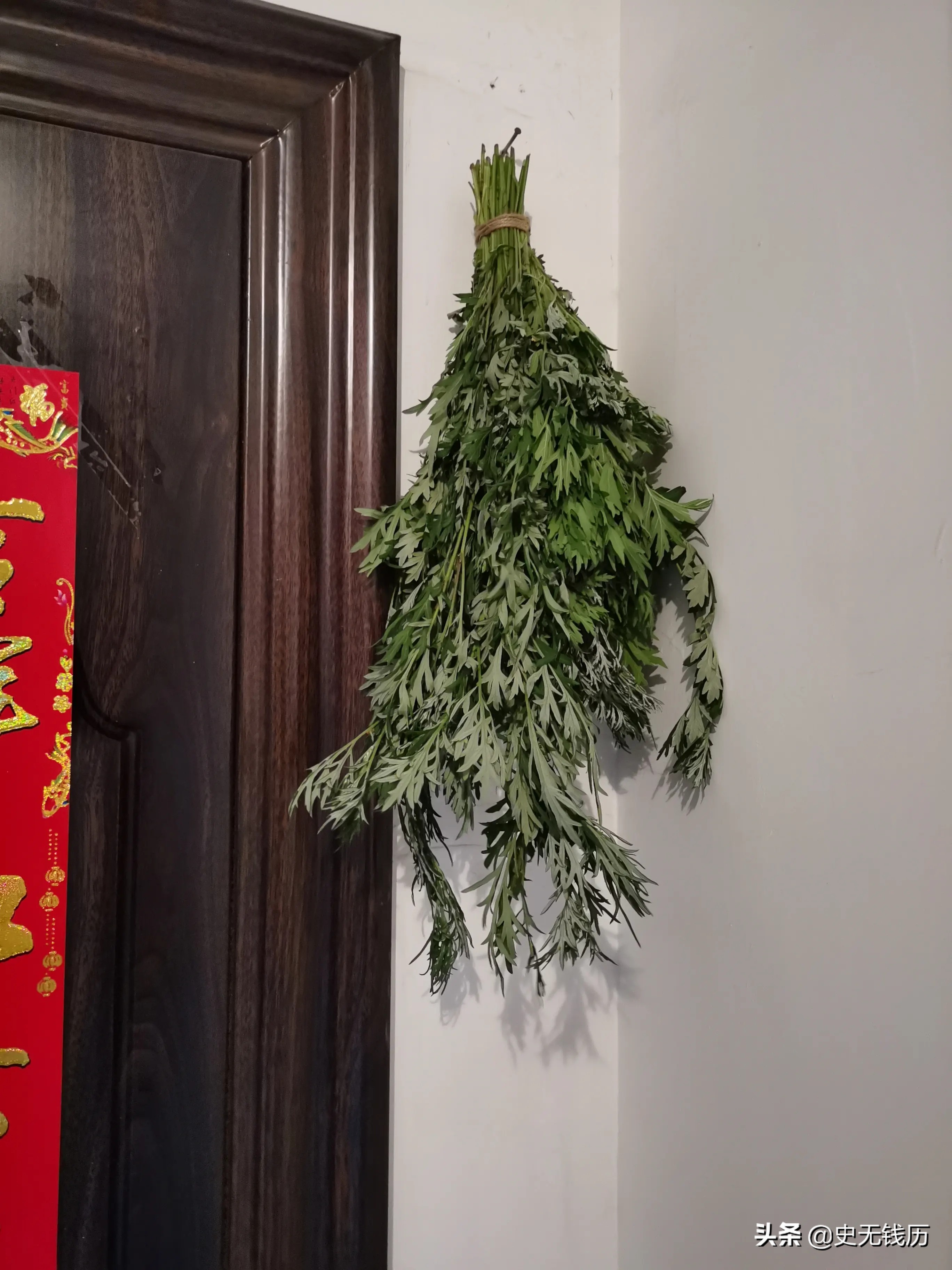 端午节挂艾草什么时候可以拿下来,端午节挂艾草和桃符是为了什么