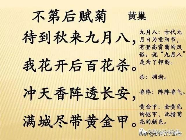 每日一诵《菊花》,每日古诗300句